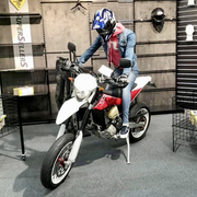 Leddelt herremanikin