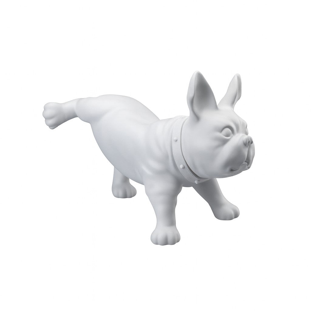 Fransk bulldog, Luis - Hvítur. Hundamannekin