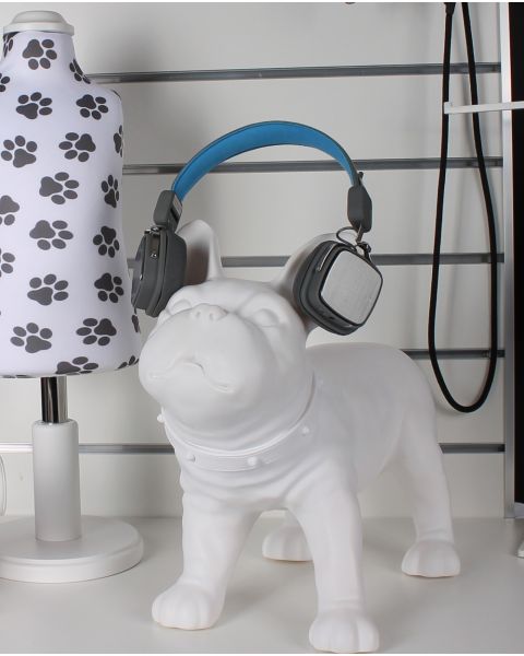 Fransk bulldog, Liva - hvid