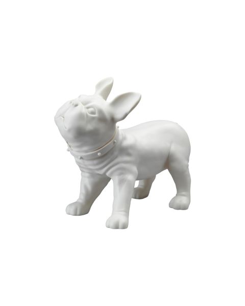 Fransk bulldog, Liva - hvid