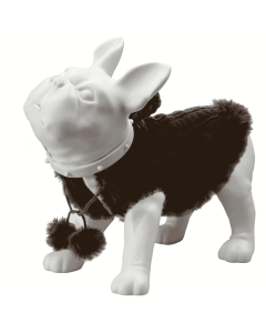 Fransk bulldog, Liva - hvid