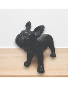 Fransk bulldog, Liva